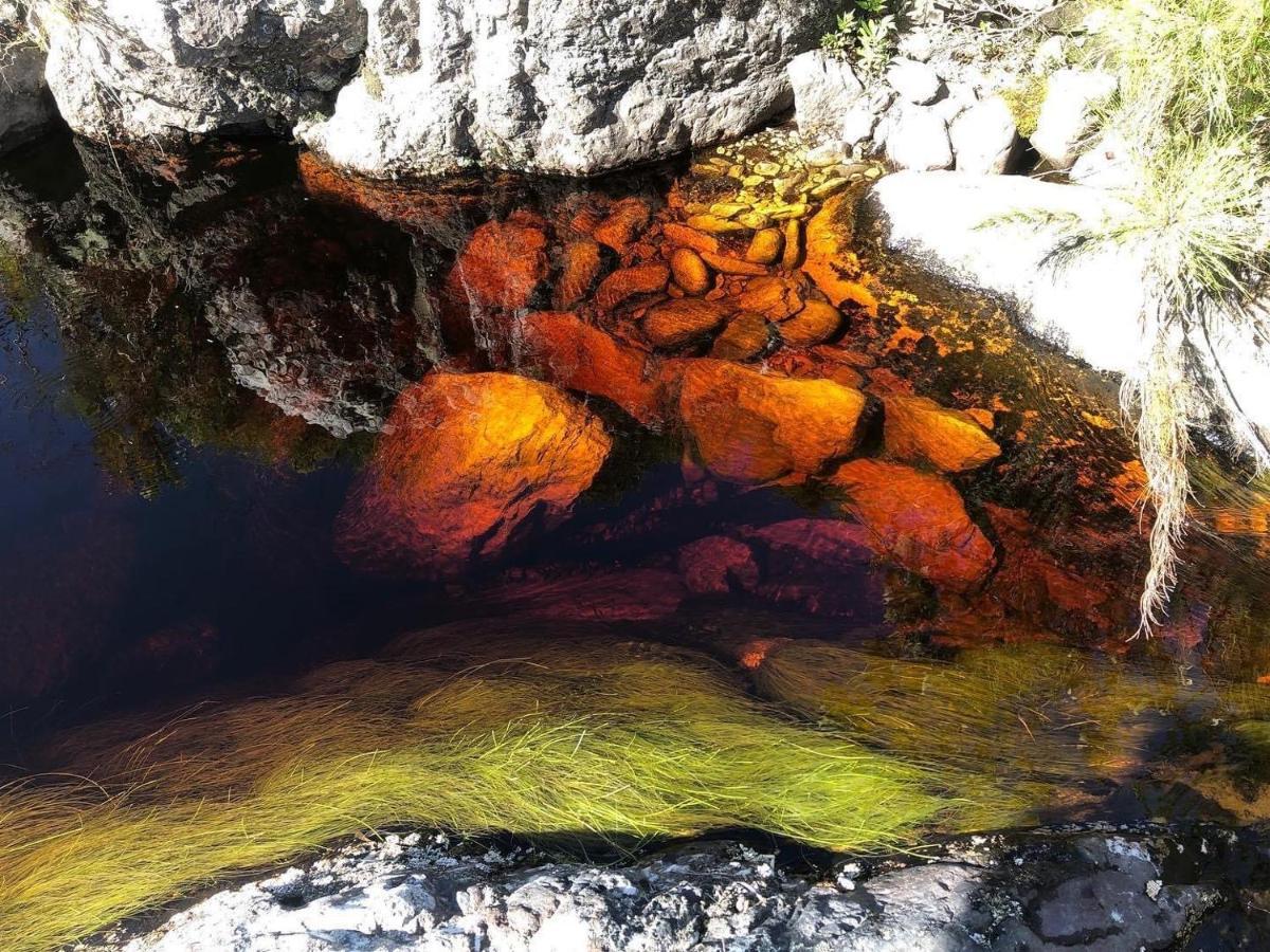 Bauernhof Frog Mountain Getaway Swellendam